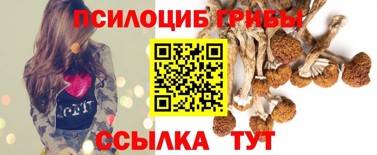 Пушкино  Псилоцибиновые грибы мухоморы  Вход с VPN  закладки  Галлюциногенные грибы мицелий 